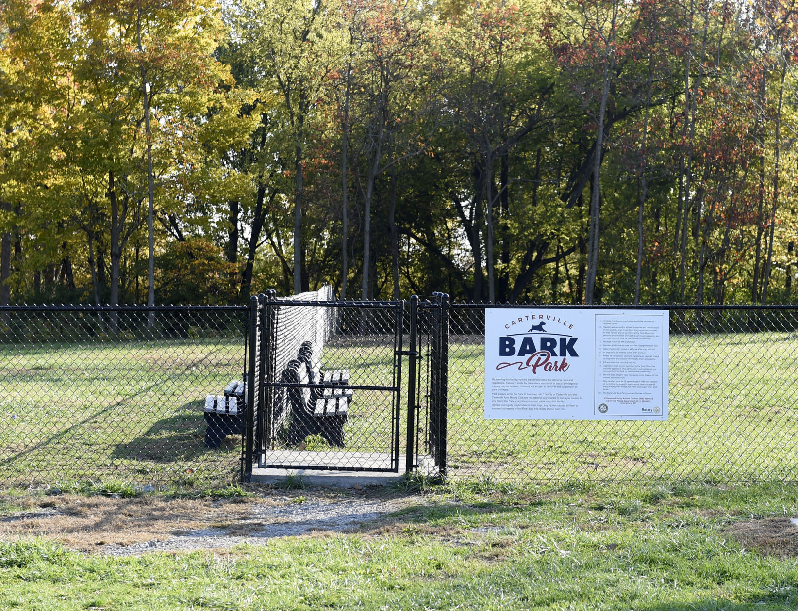 110717-nws-cville-bark-park-2.jpg